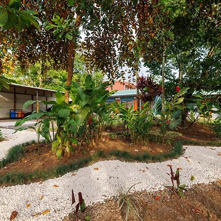 Rio Celeste Dreams Бихагуа Экстерьер фото